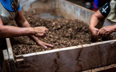 Let’s compost together!